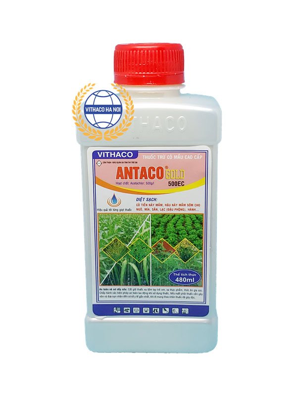 thuốc diệt cỏ mầm cho ruộng mía Antaco Gold 500EC