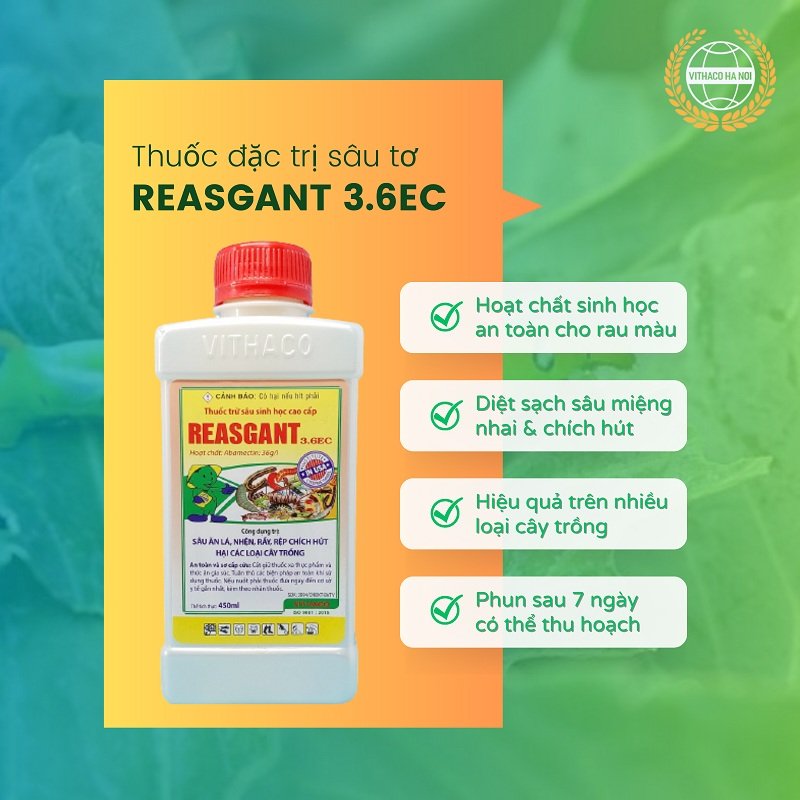 Thuốc trừ sâu tơ hại rau màu Reasgant 3.6EC
