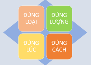nguyên tắc 4 đúng khi sử dụng thuốc bảo vệ thực vật