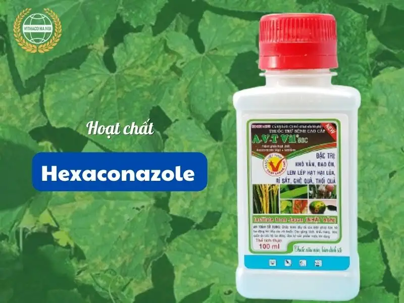 Hoạt chất Hexaconazole