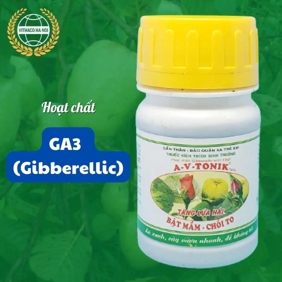 hoạt chất GA3 Gibberellin