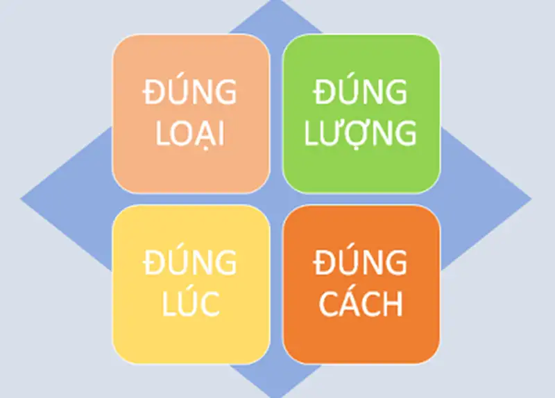 nguyên tắc 4 đúng khi sử dụng thuốc bảo vệ thực vật