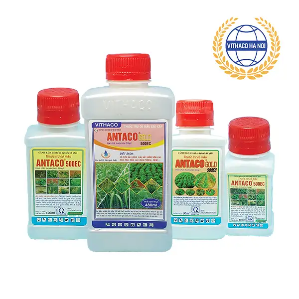 Thuốc diệt cỏ mầm an toàn cho mía Antaco 500EC
